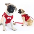 thumbnail image 3 of LAICAIW Dog Harness and Leash Set, No Pull Reflective Adjustable Pet Soft Mesh Chest Vest Harnesses Easy Control for Small Medium Dogs and Cats Outdoor Walking, 3 of 7