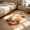 MulticolorD, variant on Fmbmuo Plush Adorable Cat-Shaped Floor Mat , Welcome Mat Pet Lovers Non-Slip Absorbent Home Decoration , for Bedroom Front Door Bathroom Kitchen