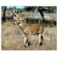 thumbnail image 1 of Deer Ceramic Tile Mural Kitchen Backsplash Bathroom Shower, 402784-L54, 1 of 9