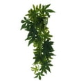 thumbnail image 2 of STARTIST Flexible Jungle Vines Plant Decor for ,Frogs, Reptiles Type 2 - 50CM, 2 of 8
