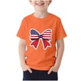 thumbnail image 6 of Amidoa Girls Short Sleeve 4th of July Cute Graphic T-Shirts Summer Tops Casual Kids Soft Crewneck Tees Gray Size 2T, 6 of 6
