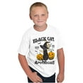 thumbnail image 4 of Halloween Black Cat Apothecary Crewneck T Shirts Boy Girl Teen Brisco Brands X, 4 of 6