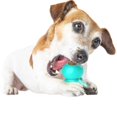 thumbnail image 5 of Dog Puzzle Slow Feeder Pet Teeth Cleaning Training Toy Interactive Chew Dog Toy, 5 of 5
