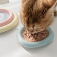 thumbnail image 5 of Pet Food Ceramic Bowl, Shallow Cat Food Dishes Cute Bear Shaped Kitten BowlsblueL, 5 of 5