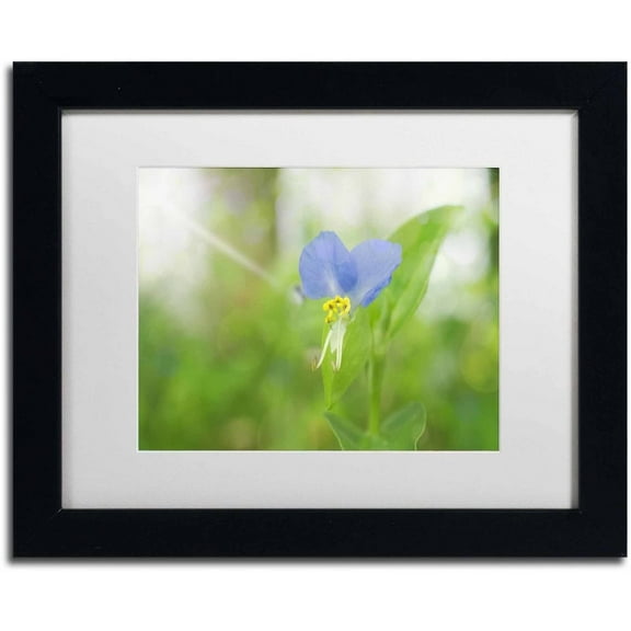 Trademark Fine Art 'Asiatic Dayflower' Canvas Art by PIPA Fine Art, White Matte, Black Frame