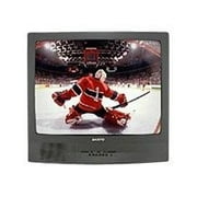 Sanyo DS25390 - 25" Diagonal Class CRT TV