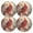 Red, variant on Ryvnso Cardinal on Berry Tree Round Plate Mats Dining Table Placemat Set of 4 for Holiday Decoration