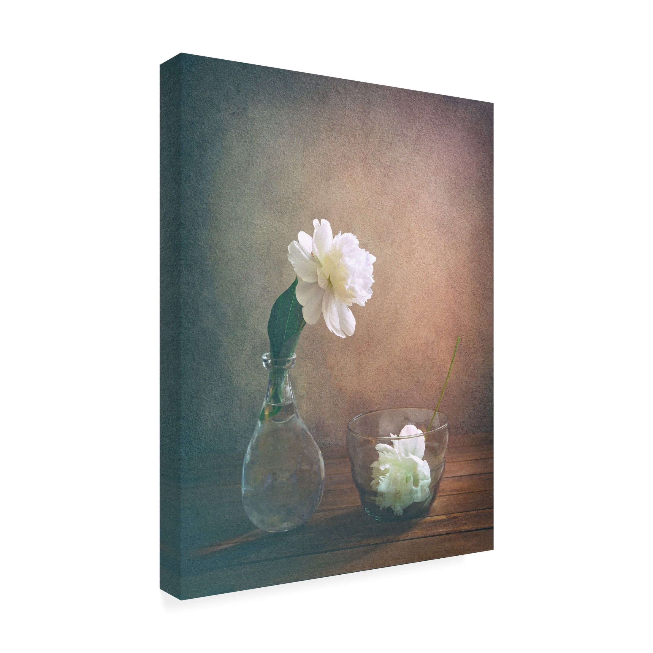 Canvas Wall Art - Sophie Pan 'Two Peonies' Wall Art for Living Room, Bedroom, or Office D?cor by Trademark Fine Art - 14 x 19 Inches