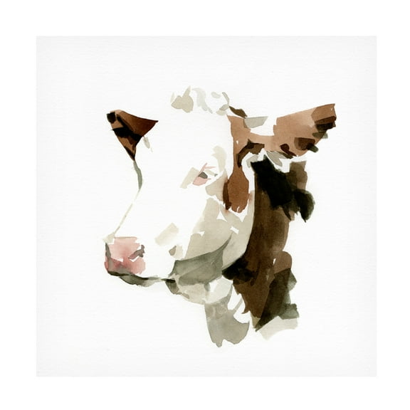 Emma Caroline 'Watercolor Bovine II' Canvas Art