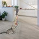 thumbnail image 4 of Gato varita juguete gato rascarse entrenamiento ejercicio interactivo varilla juguete Café Zulema Juguetes de varitas para gatos, 4 of 8
