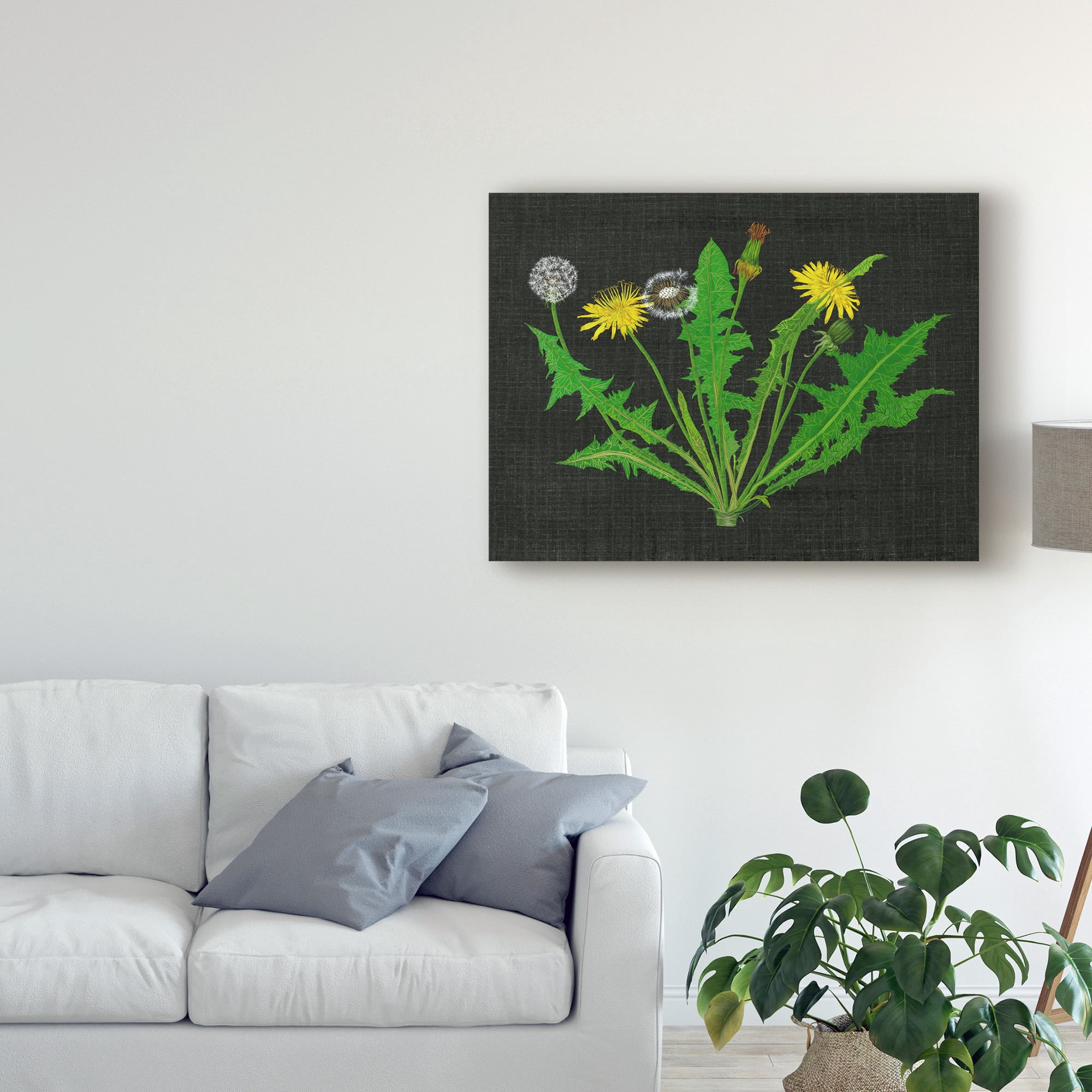 Trademark Fine Art 'Wild Dandelion I' Canvas Art by Melissa Wang