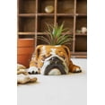 thumbnail image 2 of Kalalou Ceramic Bulldog Planter, 5"D x 7.5"W x 4"H, Brown, 2 of 2