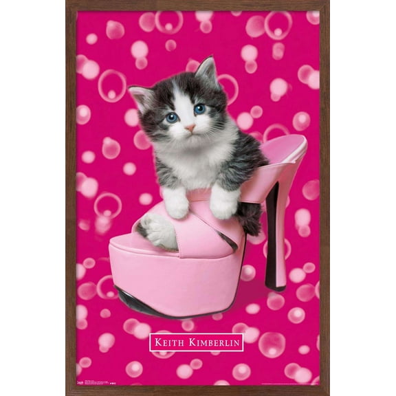 Keith Kimberlin - Kitten - Shoe Wall Poster, 14.725" x 22.375", Framed