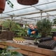 thumbnail image 5 of Plantas de macetas de Copa biodegradable Sharpla 80 piezas, 5 of 8