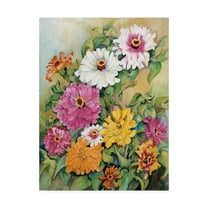 Trademark Fine Art 'Variegated Zinnias Colorful' Canvas Art by Joanne Porter