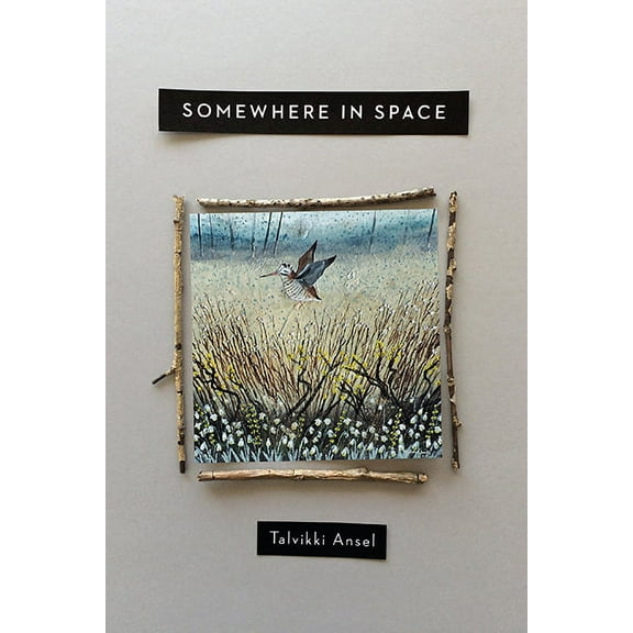 OSU JOURNAL AWARD POETRY: Somewhere in Space (Paperback)