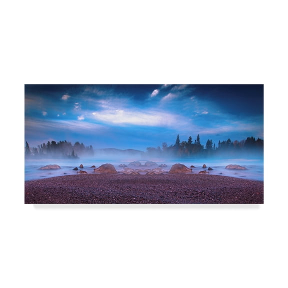 Trademark Fine Art 'Nature Collection 10' Canvas Art by Ata Alishahi