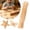 Beige, variant on Craft Pipe 100 PCS for Crafts, DIY Arts Crafts Decorations, Solid Color Craft Sticks Set for Flower Making, Crafting Supplies for Home Decor and Festival Projects, Bendable Pipe for Art Projects
