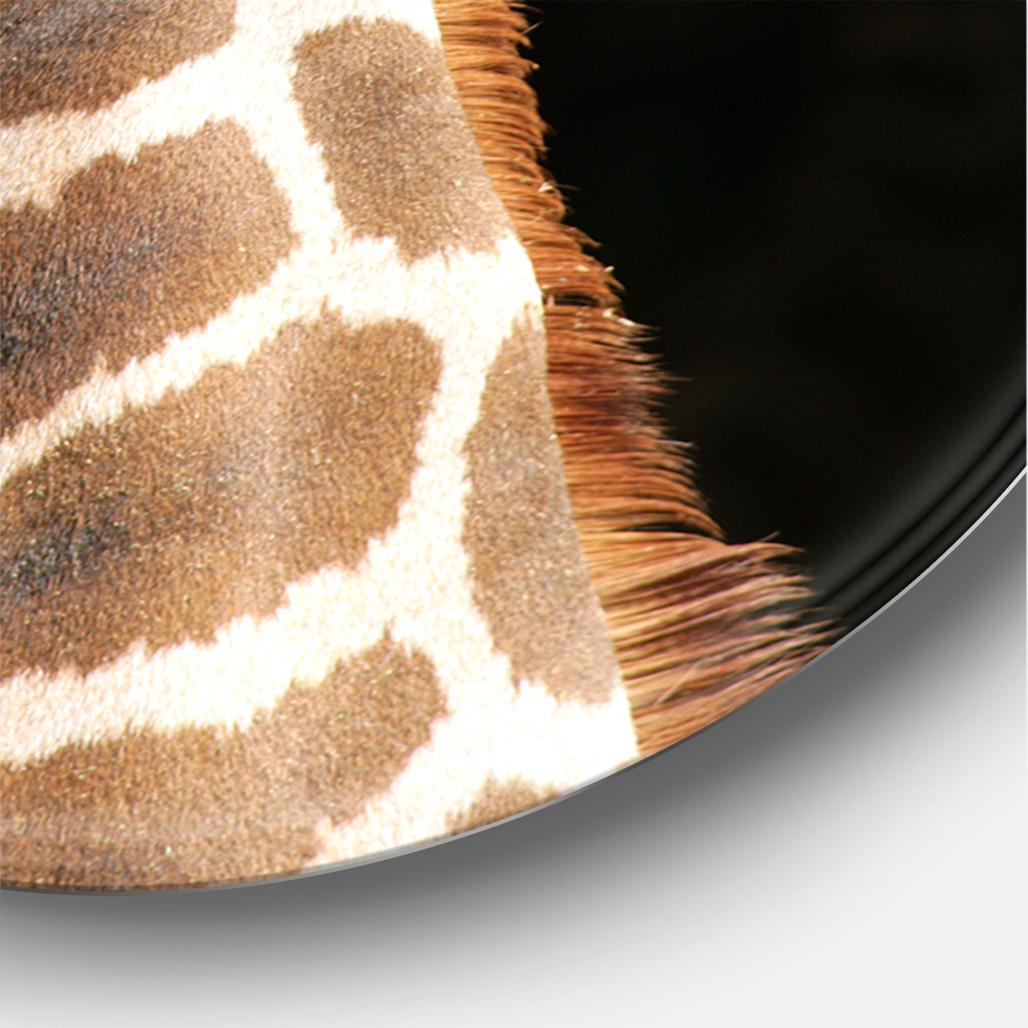 Designart 'Close Up Portrait Of A Giraffe On Black III' Farmhouse Circle Metal Wall Art 23x23 - Disc of 23