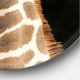 thumbnail image 3 of Designart 'Close Up Portrait Of A Giraffe On Black III' Farmhouse Circle Metal Wall Art 11x11 - Disc of 11, 3 of 5