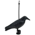 thumbnail image 3 of Generic Crow Bird Decoy Figurine Realistic Life Size Artificial Prop Black, 3 of 6