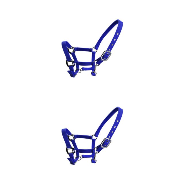 Billuyoard Collar de cabeza de brida de pony Halter acolchado ajustable aleación de Zinc gran resistencia suministros para caballos solidez Azul METRO 2piezas