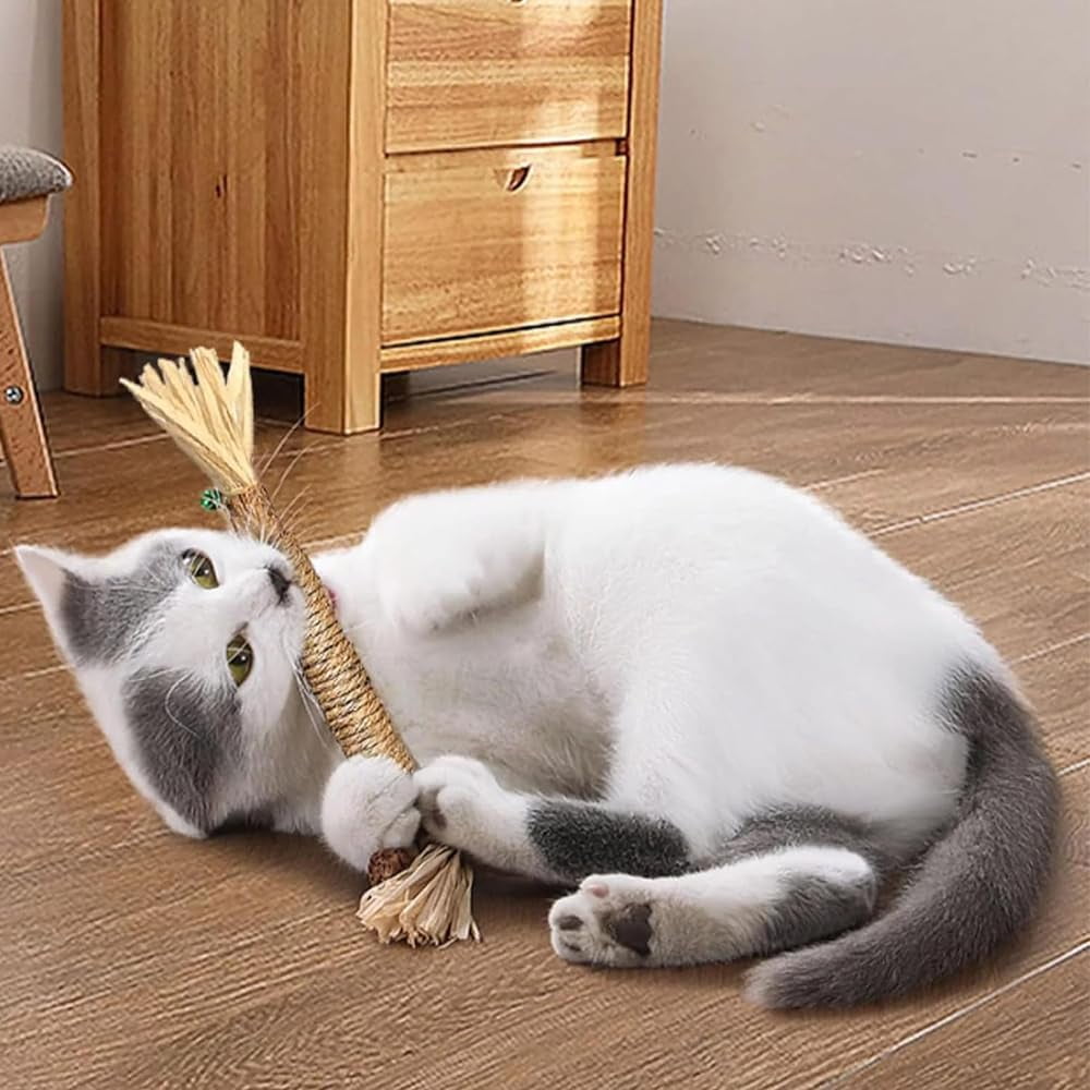 Elystria Silvervine, Elystria Natural Silvervine Dental Sticks, Silvervines Sticks for Cats, Interactive Kitten Chew Playthings, Pets Cat Chew Stick Toy, for Cats Teeth Cleaning