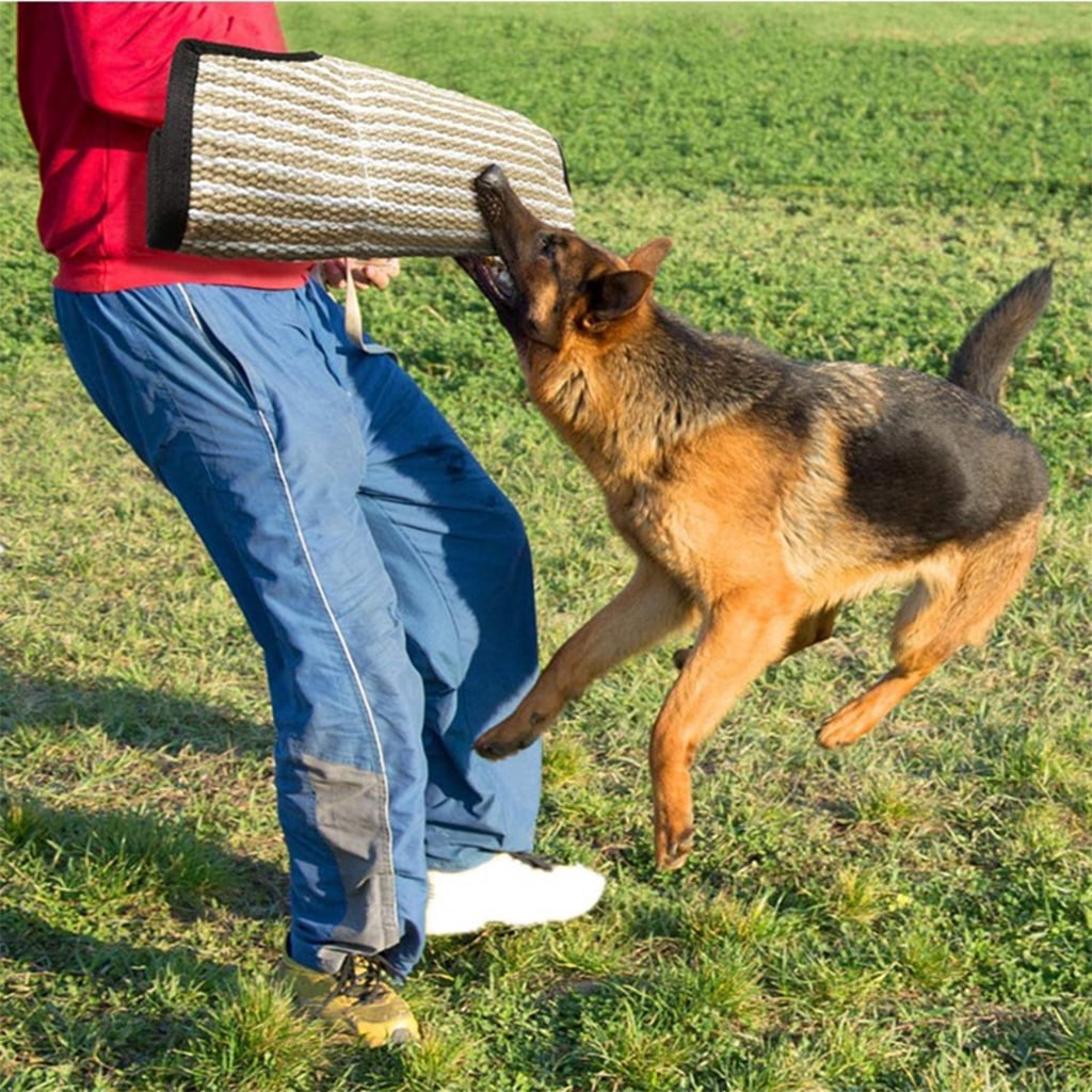 ZPAQI Strong Jute Dog Bite Sleeve Tug Work Puppy Training Playing Chewing Toy Hand Glove for Training Schutzhund K9 Rottweiler