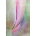 thumbnail image 3 of Murdock, Ramona 11x14 Black Modern Framed Museum Art Print Titled - Spring Beauty, 3 of 5