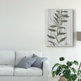 thumbnail image 3 of Trademark Fine Art 'Rustic Greenery III' Canvas Art by Studio W, 3 of 4