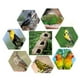 thumbnail image 5 of Pequeña Casa Colgante Colibrí Mano Casas Tejida Colibrí Birdhouse Patio y Jardín, 5 of 8
