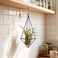 thumbnail image 5 of Geometric Air Plant Holder with Hanging Chain, Metal Hanging Tillandsia Holder, 3 Different Size Macrame Plant Holder, for Small Air Plants Indoor Garden Wall Decor, 5 of 6