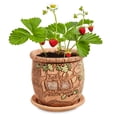 thumbnail image 6 of STP GOODS Owls Handmade Ceramic Planter with Drainage Hole and Saucer 5.9x5.9" Indoor/Outdoor Decorative Flower Planter Hand-Painted Flower Pot Clay Succulent Pot, 6 of 8