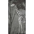 thumbnail image 3 of OnRei 14x24 Black Modern Framed Museum Art Print Titled - Grey Giraffe, 3 of 5