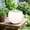White, variant on Caelan Stucco Terracotta Sphere Planter (Set of 2)
