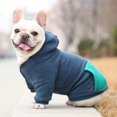 thumbnail image 4 of Ropa con capucha y cremallera para mascotas, ropa para perros y gatos, ropa linda para mascotas, cálida con capucha, Bulldog Francés Pug (M, azul) JM, 4 of 5