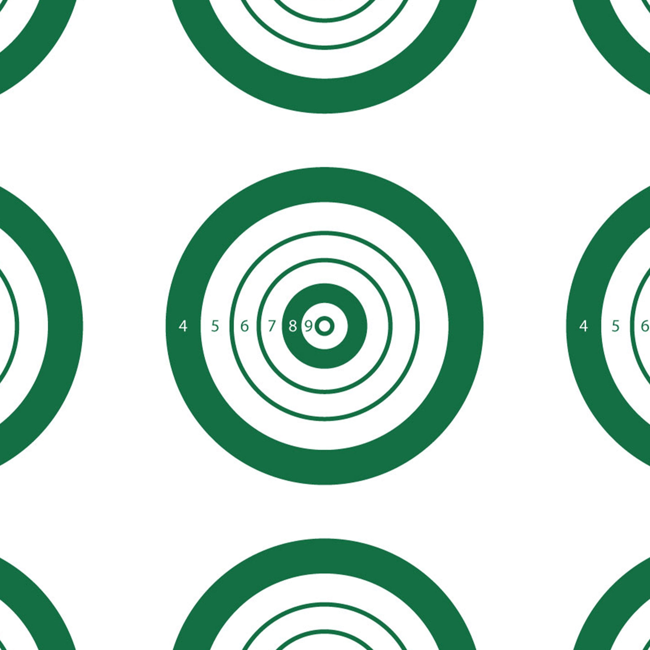 (2 pack) Ez Aim Rimfire IBS Shooting Targets, 14" x 17", 25-Pack, White, Paper Targets, 15582, IBS Rimfire