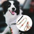 thumbnail image 4 of Flmtop Harness Leash Set Printing Pet Accessories Polyester Printing Harness Traction Rope Set for Walking Purple, 4 of 9