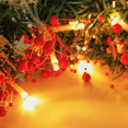 thumbnail image 4 of 30 Lumières Féeriques Perles Rouges, Festives de Noël - Intérieur/extérieur, 4 of 4