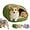 Green, variant on 2026 New Winter Cat Cave Bed , Warm Plush Covered Cat House with Removable Cushion, Soft Sleeping Bed for Indoor Cats,Warm Pet Nest for Indoor Cats & Small Dogs (Beige, Large)