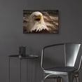 thumbnail image 6 of Epic Art 'Woodgrain Antiques Bald Eagle 3' by Gordon Semmens Acrylic Glass Wall Art, 24" x 16", 6 of 8