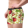 thumbnail image 4 of Kll Cherries And Ladybirds Men'S Cotton Boxer Briefs Underwear-Xx-Large, 4 of 9