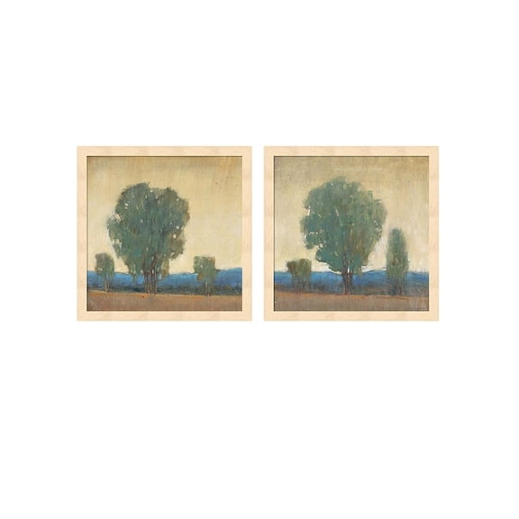 Metaverse Timothy O'Toole 'Clearing Storm' Framed Art (Set of 2)