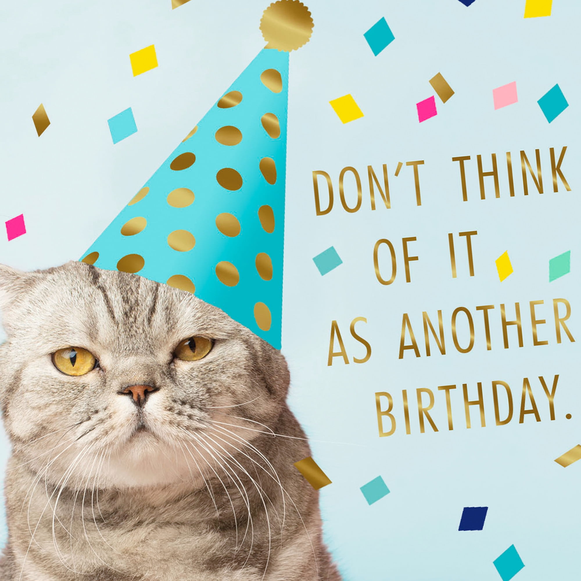 Hallmark Shoebox Funny Birthday Card (Gracing the World With Your Presence)