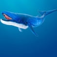 thumbnail image 4 of Marioneta de mano Folkmanis Blue Whale para niños y objetos de colección, 4 of 4