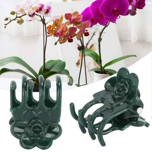 Clip de jardín, 200 piezas, hermoso clip de tallo con forma de rosa, clip para plantas, diseño a prueba de futuro