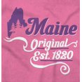 thumbnail image 2 of Maine Cute Pine State Shape Filagree Women's Graphic T Shirt Tees Brisco Brands S, 2 of 6