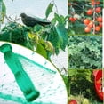 thumbnail image 2 of 2m X 10m Green High Quality Garden Net Protection Anti Bird Vegetable Fruit Plant Pond Water Plant Windproof Net, 2 of 4