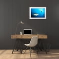 thumbnail image 3 of Safonov, Alexander 18x13 White Modern Wood Framed Museum Art Print Titled - Beqa Shark Labs, 3 of 4