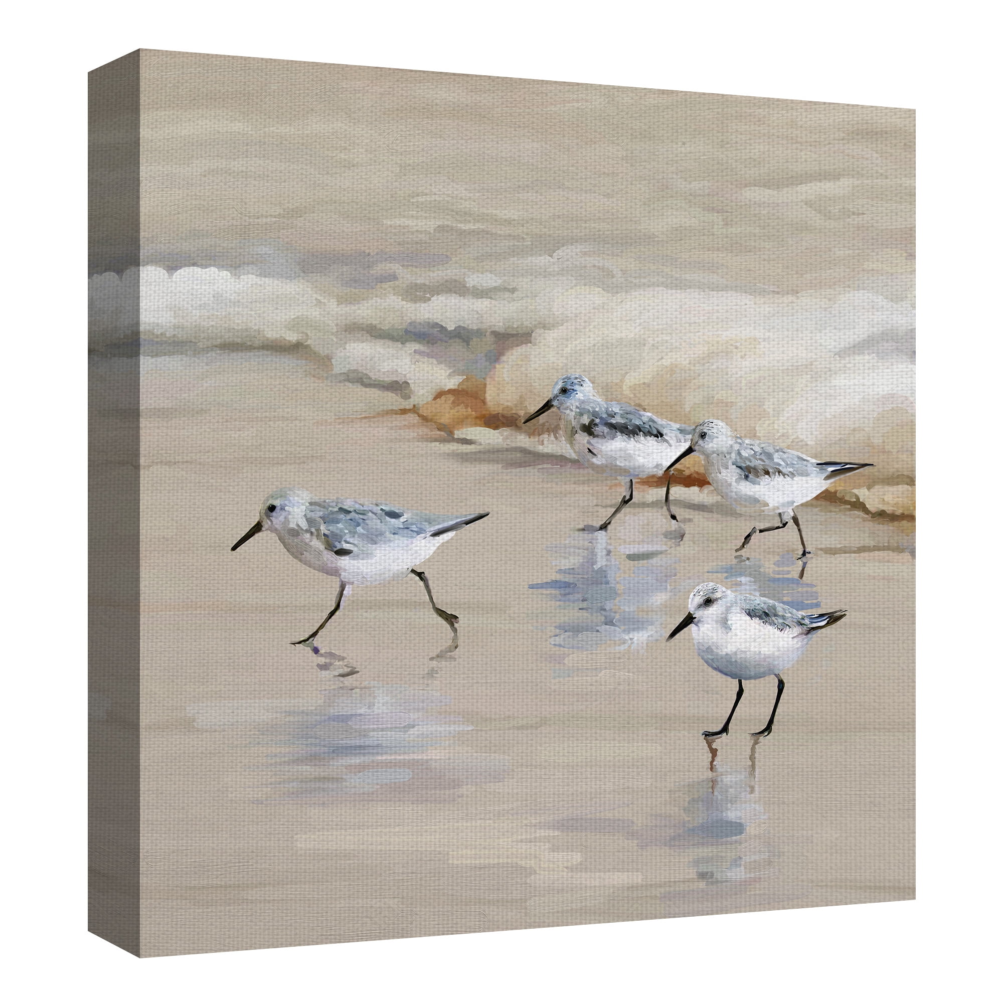 Masterpiece Art Gallery Sandpiper Beach I Amber By Studio Arts Canvas Art Print 24" x 24"